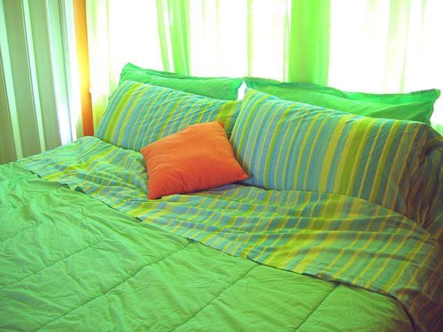 Homestay Die Steht Ab Sofort Nicht Mehr Zur Verfugung Is Finis 1 June - Thanks For All Your Andreas & 3 Cats Lubeck